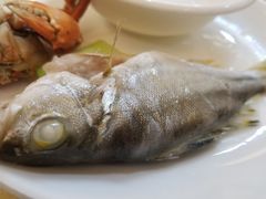 -好吉祥大酒楼