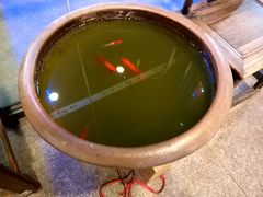 -羊汤研究所(茶苑海口路店)