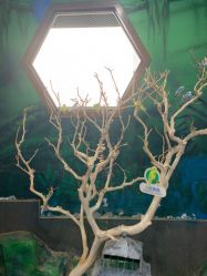 -未来动物城动物主题公园(大悦城店)