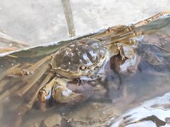-白沙洲农产品大市场海鲜交易区