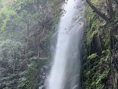 -莫里热带雨林景区