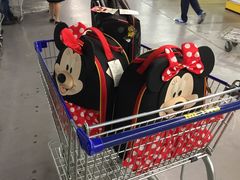 -麦德龙(闵行店)