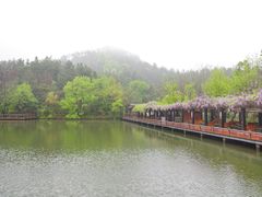 -黄陂区野村谷景区