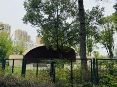 -宁波儿童公园(鄞州区)