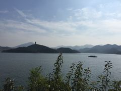 -望湖烤鱼