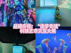 -上海宝龙美术馆