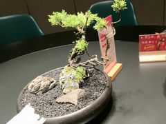 -忆江南·临江鱼馆