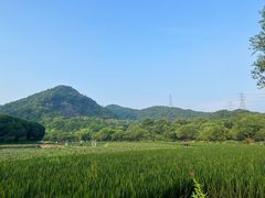 -八卦田遗址公园
