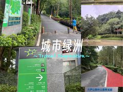 -火炉山森林公园