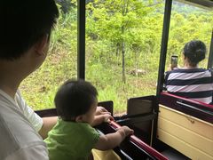 -杭州野生动物世界