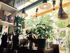 -Kitchen·Y洋厨房西餐厅(王府壹号店)