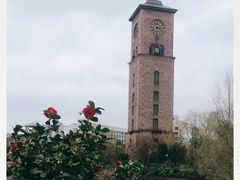 -同济大学(嘉定校区)