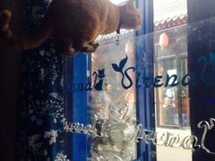 iphone_upload_pic-Sirena海妖日咖夜酒