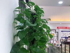 大堂-香妃烤鸡(西单店)