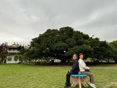 -江心屿景区