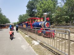 -永定河休闲森林公园