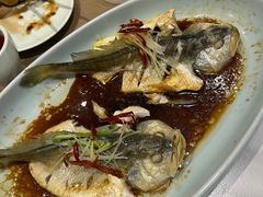 -船歌·鱼水饺青岛菜(合肥路永旺店)