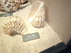-福州罗源湾海洋世界旅游区
