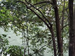 -桂山风景旅游区