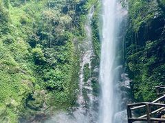 -莫里热带雨林景区