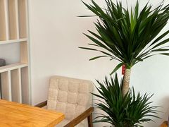 -如果枫糖(万达店)