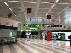 -米兰马尔彭萨国际机场