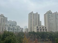 -TOMATITO(无限极荟店)