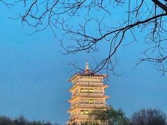 -Supine Bistro溯泮餐厅