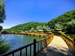 -参仙谷生态旅游度假区