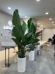 前台-DX HAIR SALON·发现未知美发沙龙