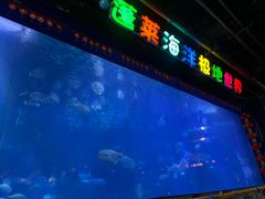 -蓬莱欧乐堡海洋极地世界