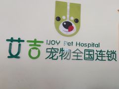 -艾吉宠物医院·疑难杂症转诊中心·猫友好(碧江路院)