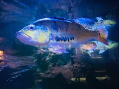 -华夏文旅海洋公园