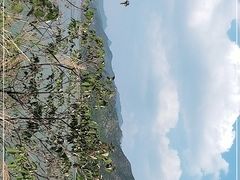 -羚羊峡古栈道森林公园