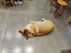 -阿木舂记·特色小吃(平江路店)
