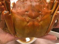 -王宝和酒家(黄浦店)