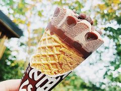 -上海佘山国家森林公园西佘山园