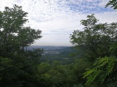 -国家植物园南园