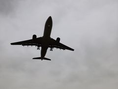 -空港花田景区