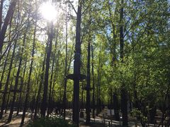 iphone_upload_pic-顺鑫绿色度假村