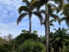 -河源御临门度假村温泉