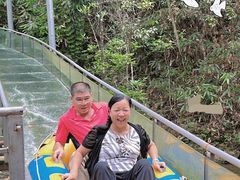 -九龙江国家森林公园