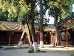 -黑河坝泡姜鸡贡椒鱼(贾旗路店)