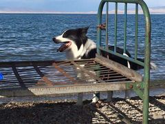 -青海湖国家重点风景名胜区