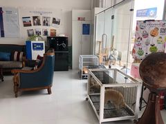 -欧奕国际动物医院