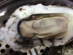 蚝-蚝专家(北滘店)