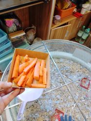 -卡通尼·Safari非洲探索乐园·生日会(金桥国际商业广场店)