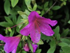 -南京东郊国宾馆