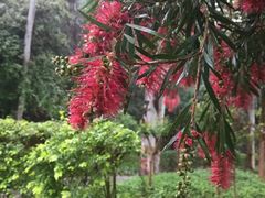 -火炉山森林公园