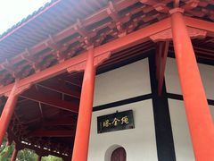 -绳金塔